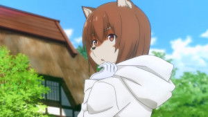 Display picture for Inukai