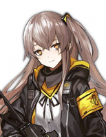 UMP45 portrait
