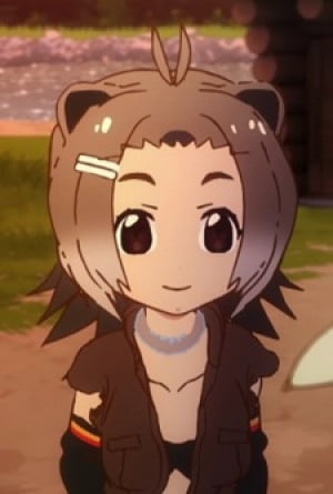 Display picture for American Beaver
