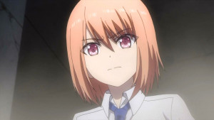 Medoki