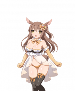 Bunny