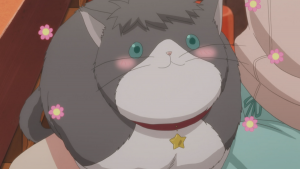 Nyanko Big