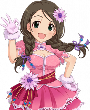 Erika Akanishi