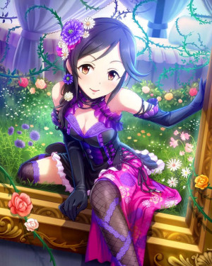 Azuki Momoi