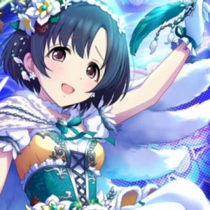 Hotaru Shiragiku