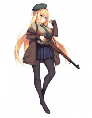 Display picture for M1 Garand
