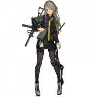 UMP40 portrait