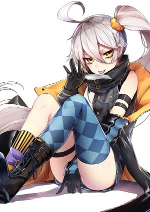 Display picture for PKP