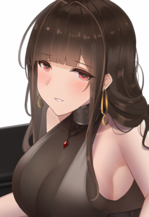 Display picture for DSR-50