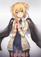 Welrod MkII portrait