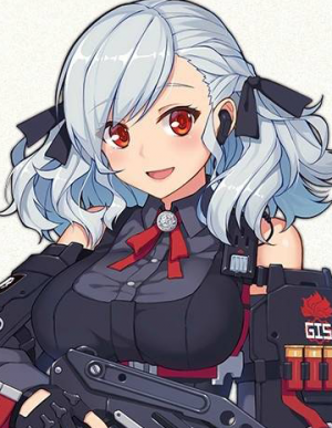 Display picture for SPAS-12