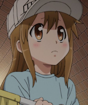 Platelet Leader