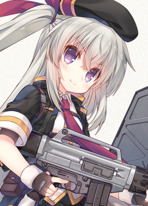 Display picture for USAS-12