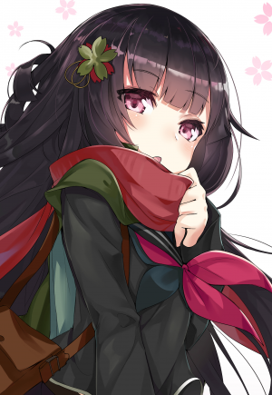 Display picture for Type 100