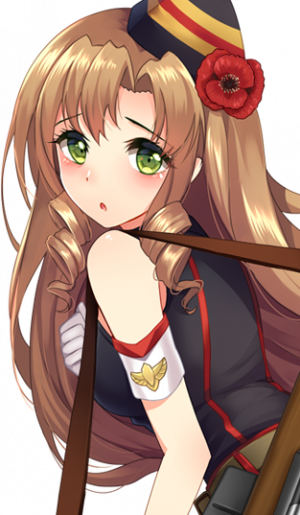 Display picture for FN-49