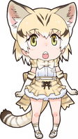 Sand Cat portrait
