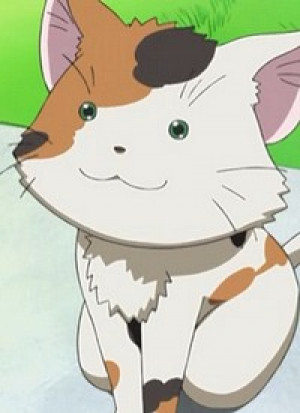 Bunta