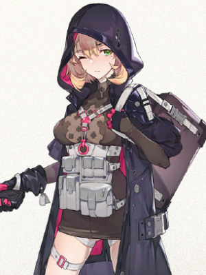 Display picture for Px4 Storm