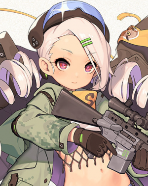 Display picture for Mk 12
