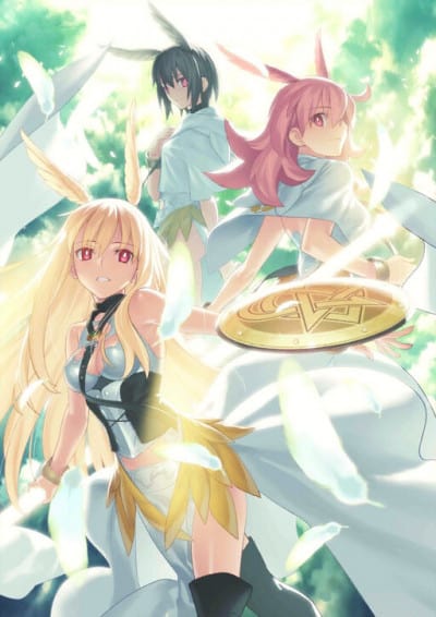 Display picture for Valkyrie