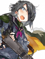 Type 62 portrait