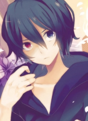 Hachi