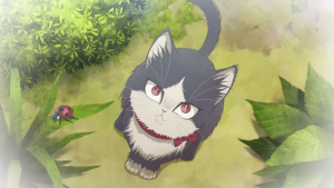 Display picture for Haru