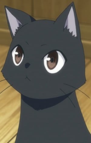 Display picture for Chito