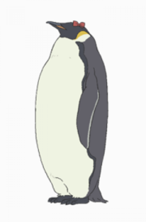 Penko