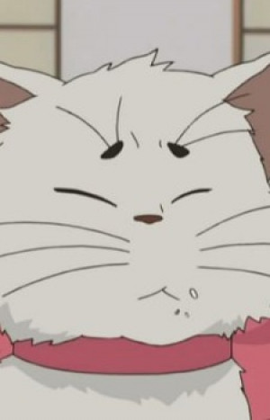 Tama Hitotsubashi