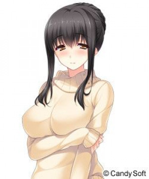 Ane Yome Quartet Characters - MyWaifuList