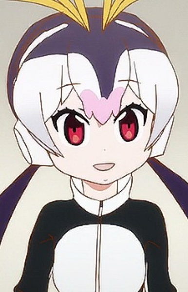 Royal Penguin, Princess