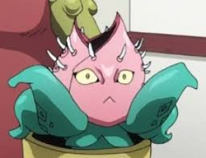 Stray Cat (Tama)