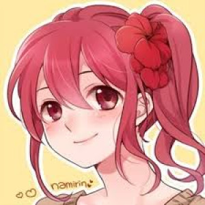 Namirin