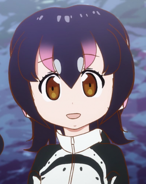 Display picture for Humboldt Penguin