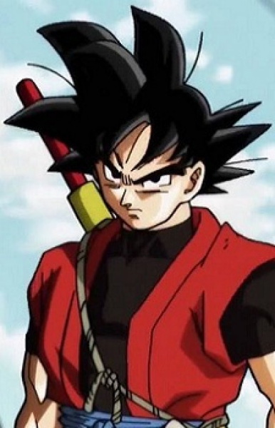 Xeno Goku