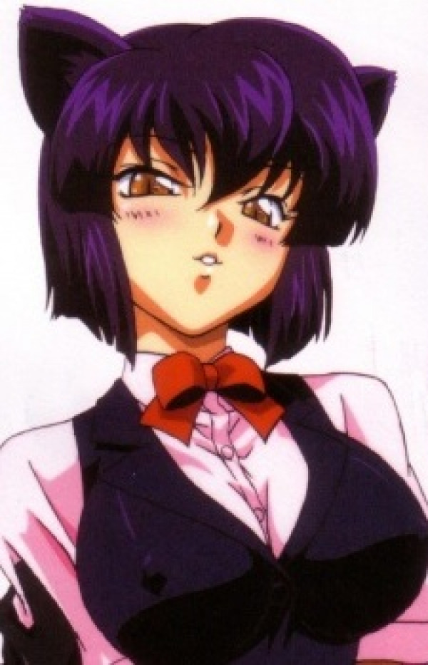 Nekoi Koshka