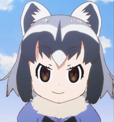 Arai-san Raccoon