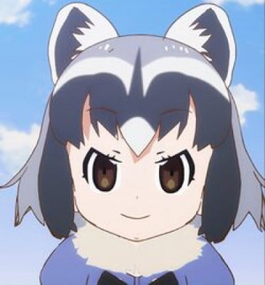 Arai-san Raccoon