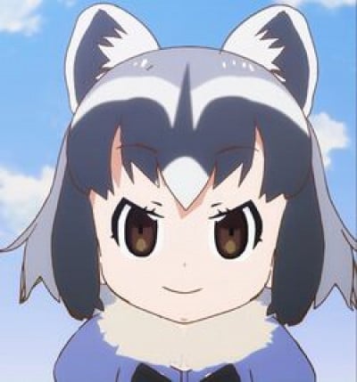 Arai-san Raccoon