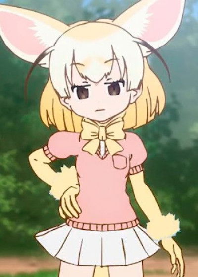 Display picture for Fennec