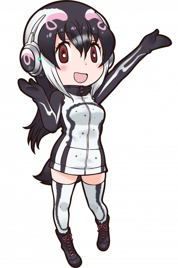 African Penguin