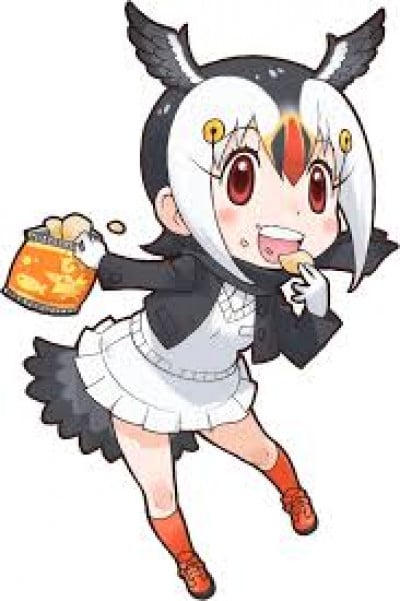 Display picture for Atlantic Puffin