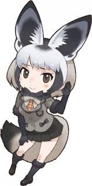 Bat-Eared Fox