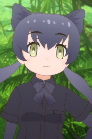 Black Leopard