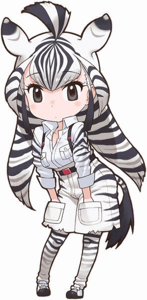 Chapman's Zebra