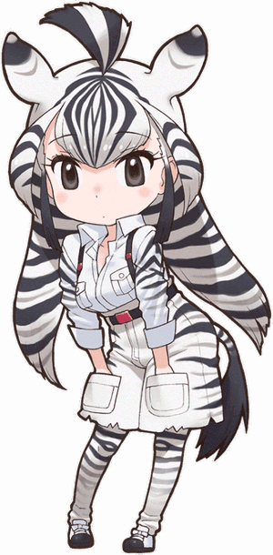 Chapman's Zebra