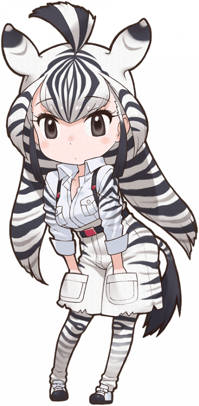 Chapman's Zebra