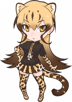 Cheetah portrait