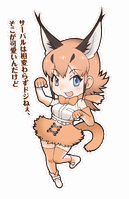 Caracal portrait